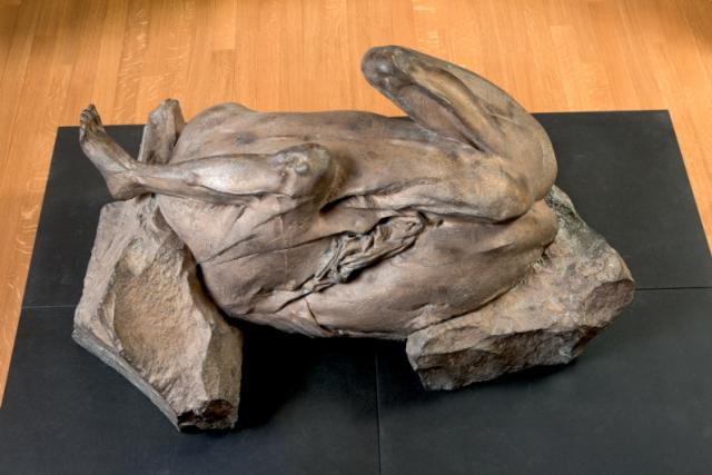 Fossile